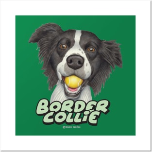 Cute Border Collie Dog with tennis ball in mouth Posters and Art